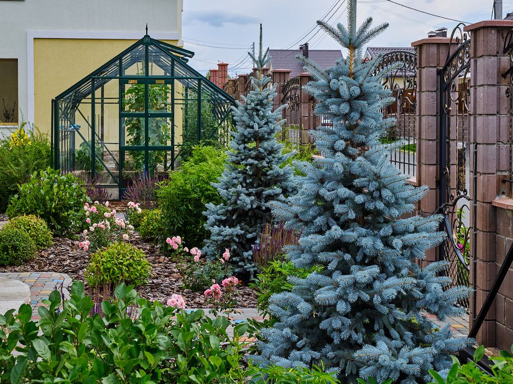 Частный сад, площадь 700 кв.м, реализация 2017г.