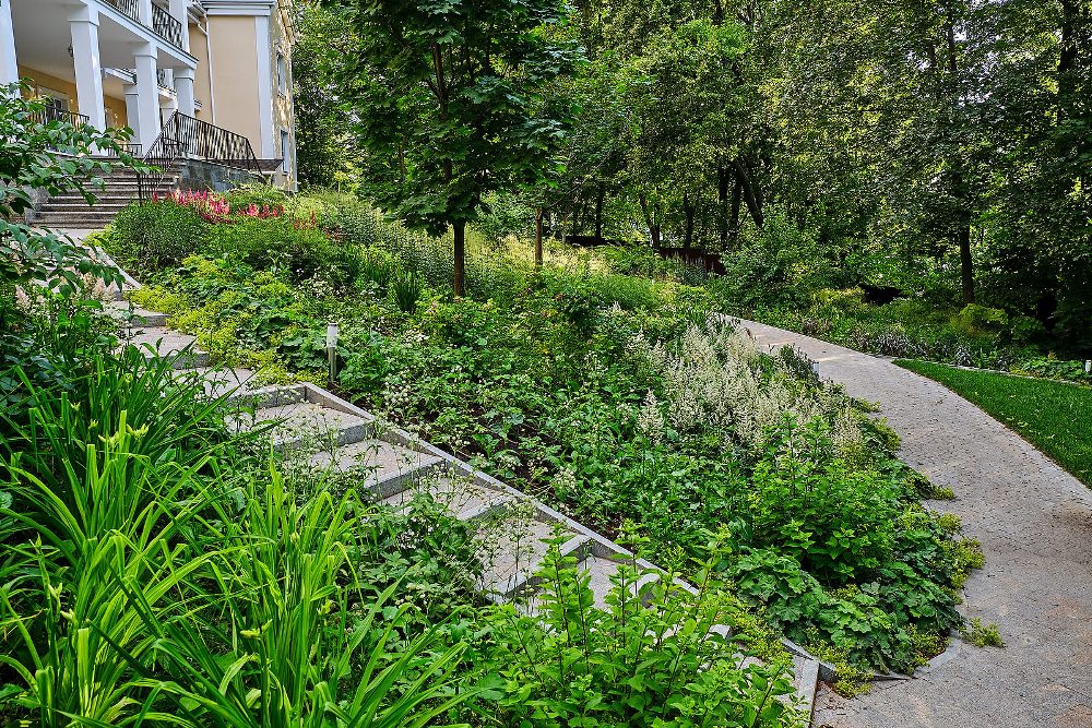 Частный сад, площадь 8 000 кв.м, реализация 2016-1017гг.